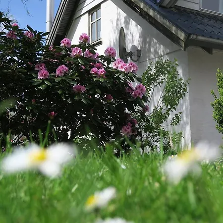 Det Gamle Savværk * Give