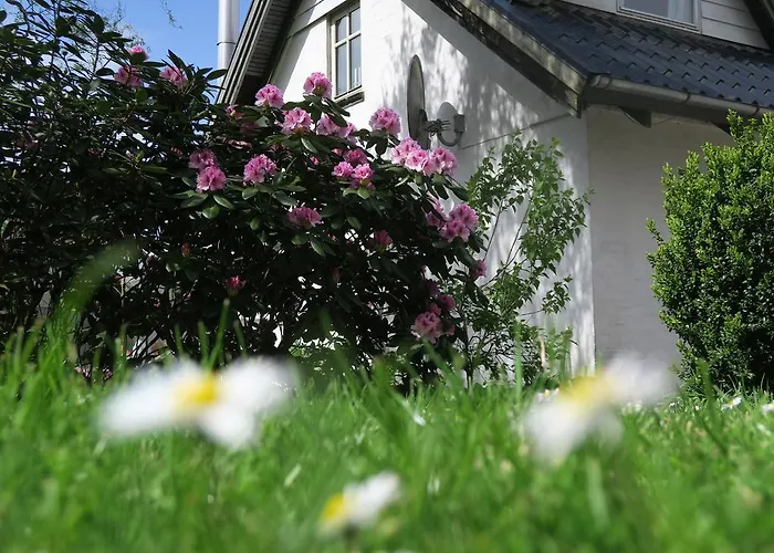 Det Gamle Savvaerk * جايف